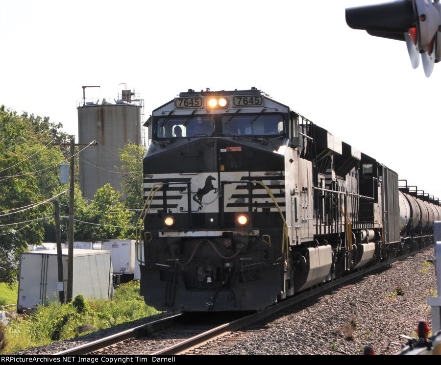 NS 7645 leads 65E